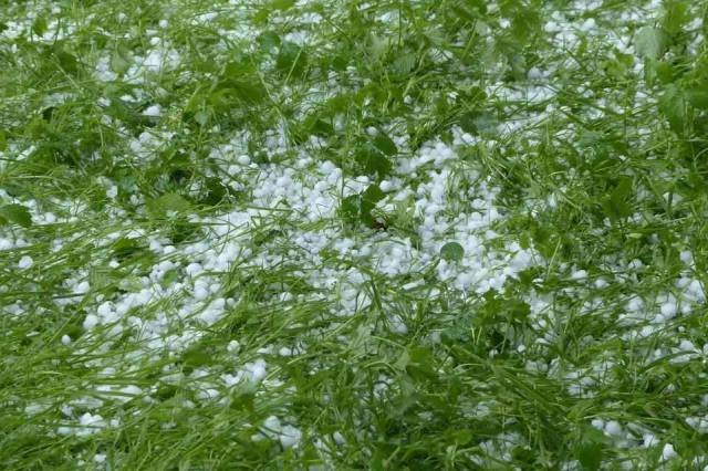 В Новосибирске 15 июля ожидаются сильный град и грозы