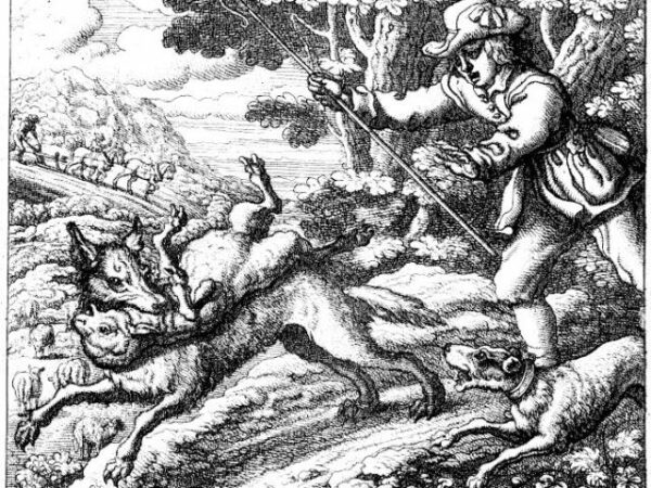 Больше трех тысяч ложных вызовов пожарной охраны зарегистрировано в Новосибирской области с начала года