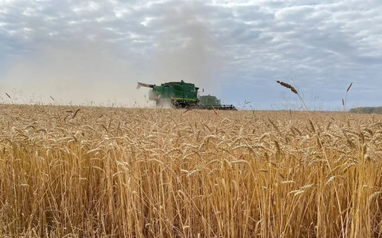 В Новосибирской области готовятся к проведению Агрофорума