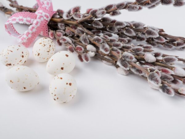 Завтра – Вербное воскресенье: что можно и что нельзя делать в этот день