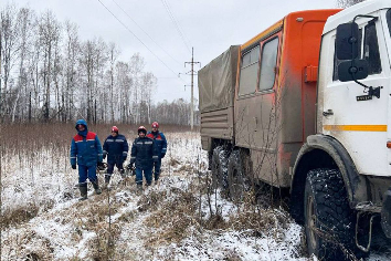 Ветер оставил без света 11 районов Новосибирской области