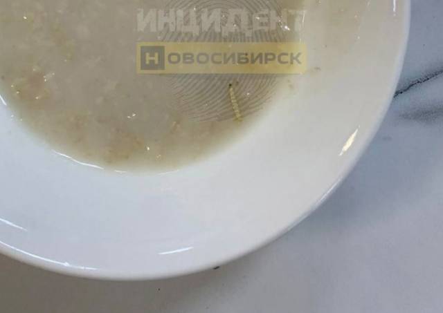 В Новосибирске дети отомстили директору школы фейком с червями в обедах