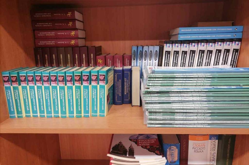 В Новосибирске родители пожаловались на дефицит учителей в школе №219