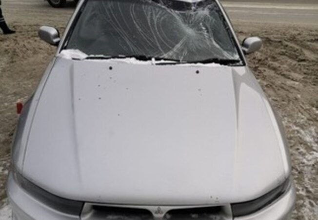 В Новосибирске будут судить мигранта за наезд на пешеходном переходе на мужчину с ребенком