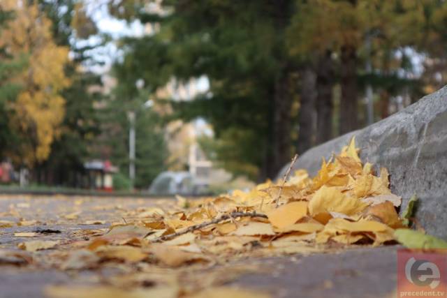 Прогноз погоды в Новосибирске на завтра — 29 августа