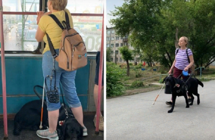В Новосибирске хозяйка убитой током собаки-поводыря рассказала о страхах после трагедии