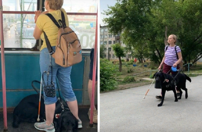 В Новосибирске хозяйка убитой током собаки-поводыря рассказала о страхах после трагедии