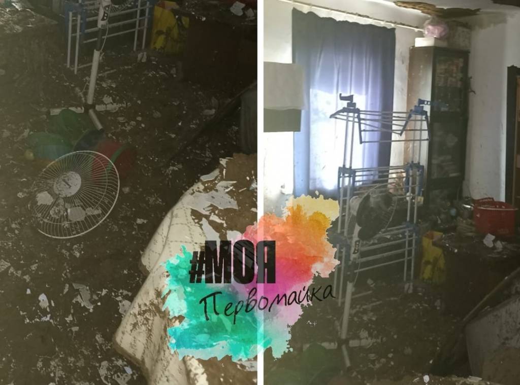 Собака спасла хозяев от пожара в Новосибирске