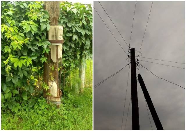 Под Новосибирском жители СНТ 5 лет бьют тревогу из-за опасных для жизни опор ЛЭП