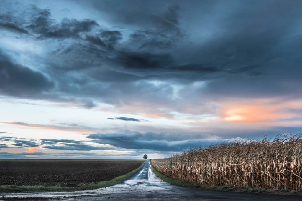 Сильное похолодание придет в Новосибирск на выходных