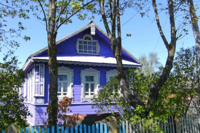 Лунный календарь дачника: благоприятные дни для посадки семян в июле 2024 года