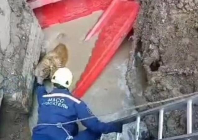 В мэрии Новосибирска прокомментировали провал грунта у дома на Бориса Богаткова