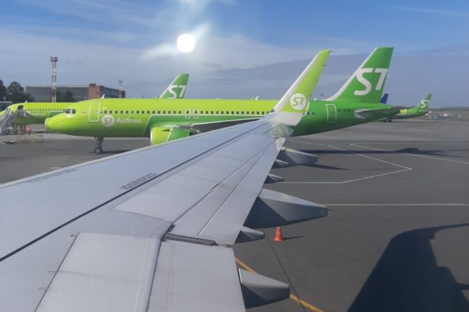 Новосибирский аэропорт Толмачево заплатит 7 млн за попадание птицы в двигатель самолета