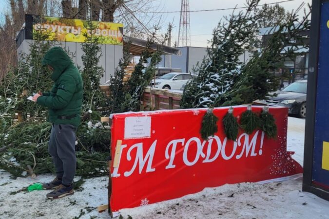 В Новосибирске на нелегальном базаре изъяли 30 елей