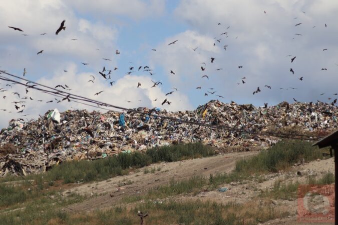В Новосибирске через 2 года начнут рекультивацию мусорного полигона «Левобережный»