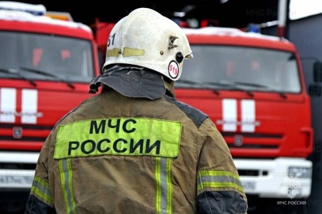 Более 100 пожаров на дачах произошло в Новосибирской области с начала года