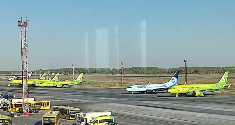 Угрожающую полетам свалку у аэропорта «Толмачёво» ликвидируют по решению суда