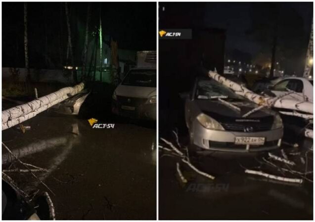 В Новосибирске ураган повредил ЛЭП