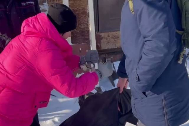 11 ударов ножом: жительница Новосибирской области зарезала родного брата