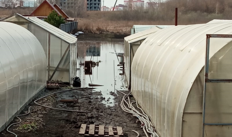 Жители Кировского района Новосибирска добиваются решения проблемы с подтоплением их огородов