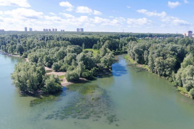 Новосибирцы одобрили проект нового парка «Усть-Тула» на левом берегу