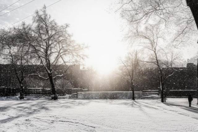 В Новосибирске к концу недели установятся плюсовые температуры