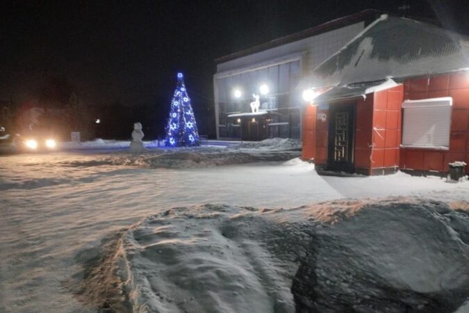 В Новосибирской области 47-летний мужчина воткнул нож в грудь сельчанина