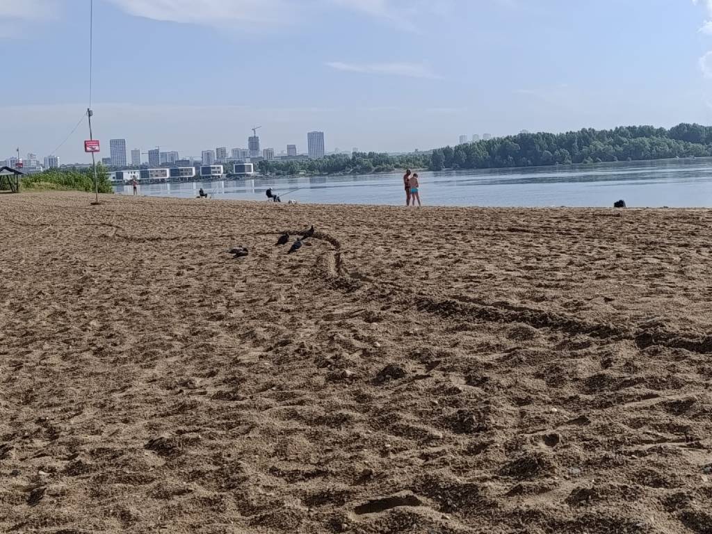 Жара придет в Новосибирск последний раз в первый день августа