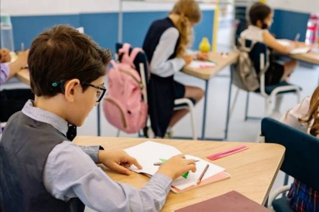 Прокуратура проверит инцидент с перцовым баллончиком в лицее Новосибирска