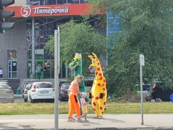 Депутат потребовал разогнать мошенников