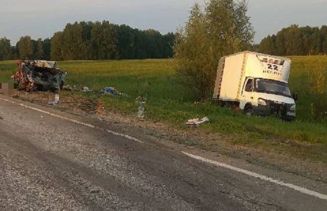 В Новосибирской области за сутки в ДТП погибли 2 человека