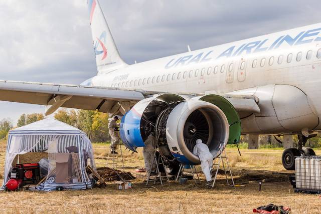 В Новосибирской области показали