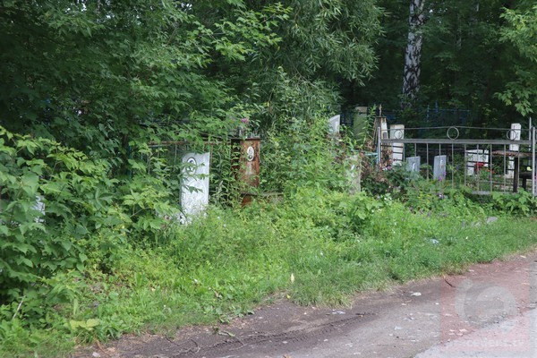 Бастрыкин заинтересовался обнаружением 67 свежих могил в лесу Новосибирска