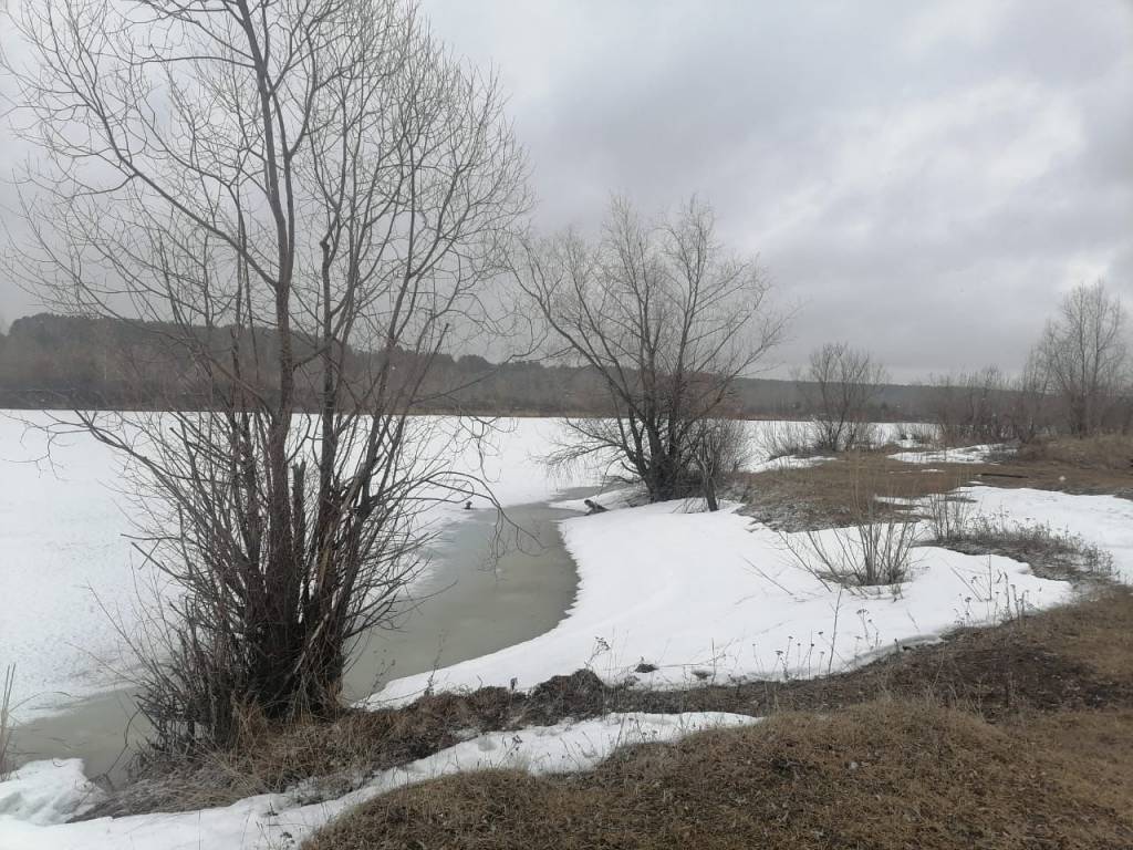 В Новосибирской области задержали рецидивиста