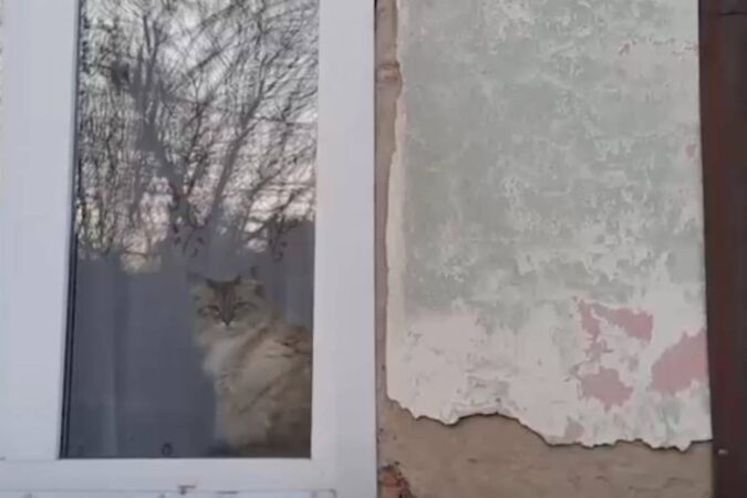 Бастрыкин заинтересовался домом с дырявой крышей в Новосибирске