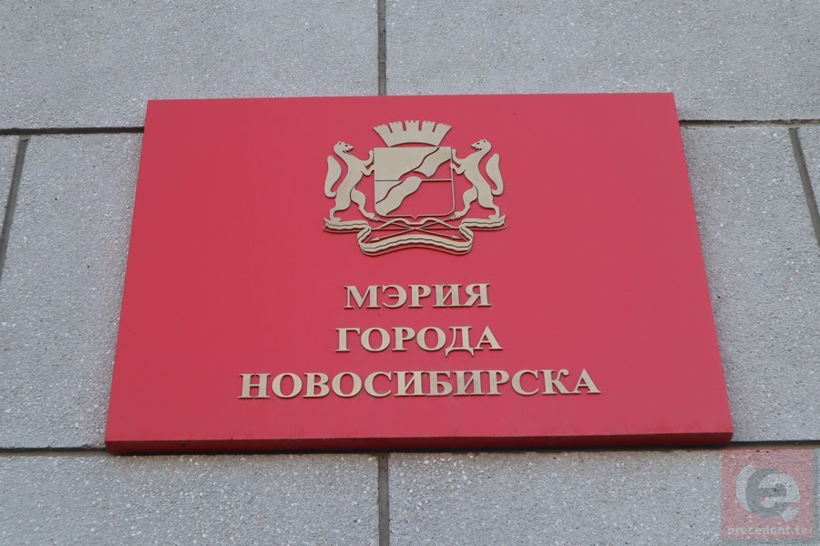 Безработная жительница Новосибирска примет участие в конкурсе по выборам мэра