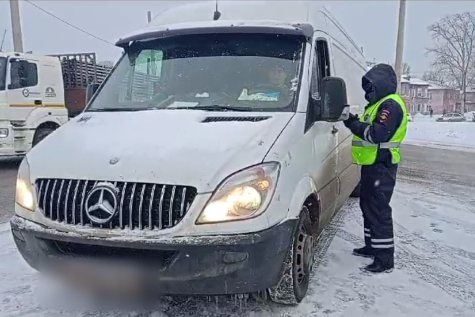 8 новосибирцев погибли под колесами машин с иностранными госномерами