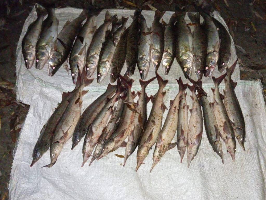 Незаконная рыбалка может обойтись новосибирцу в полмиллиона