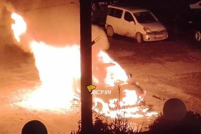 В дачном поселке под Новосибирском сгорел BMW