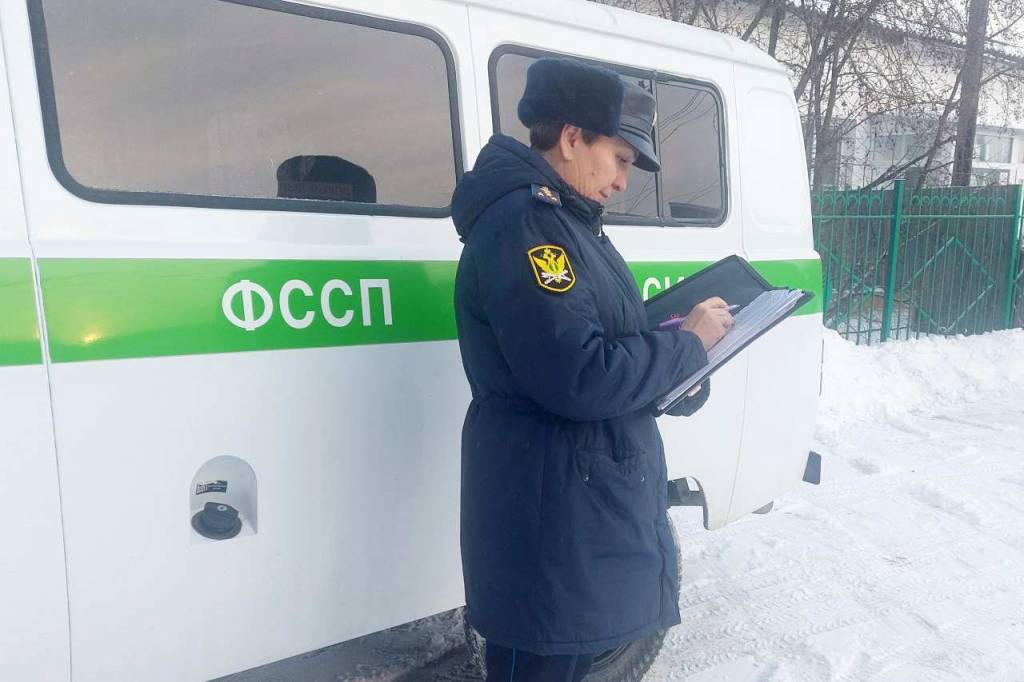 В Новосибирской области контрабандисты пытались вывезти партию сосен в Казахстан