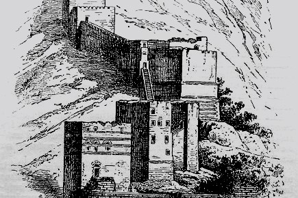 Новосибирцам рассказали