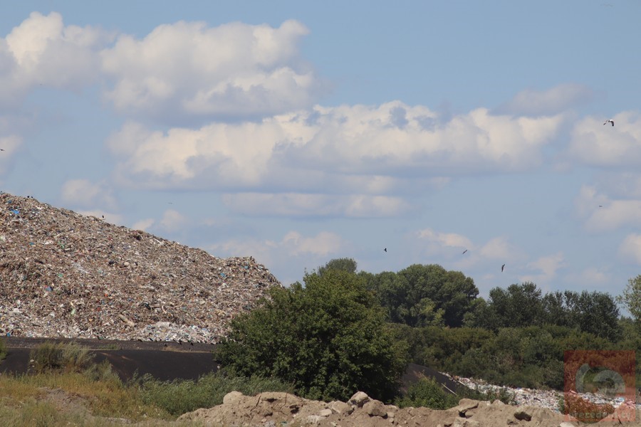 В Новосибирске у Хилокского рынка завалили мусором участок федеральной земли