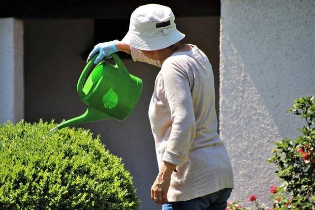 В России страховые пенсии по старости проиндексируют с 1 января