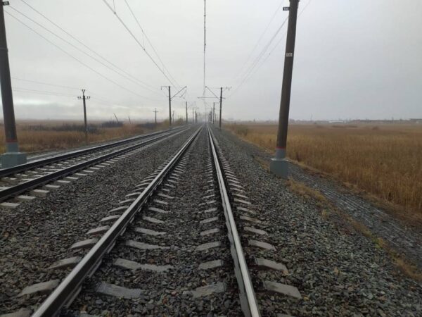 В Новосибирской области на станции Каргат поезд насмерть сбил мужчину