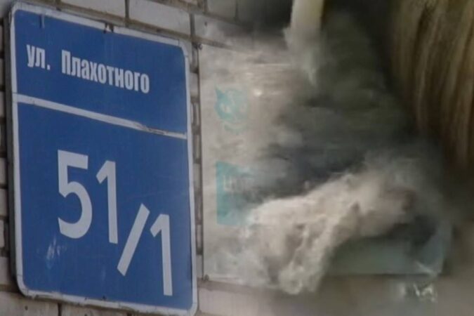 В Новосибирске не стали проверять квартиру с дюжиной собак и кошек