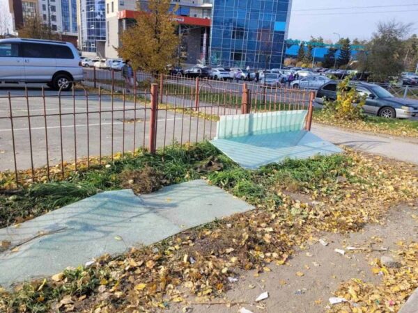 Мэр Новосибирска прокомментировал снос новой остановки у зоопарка