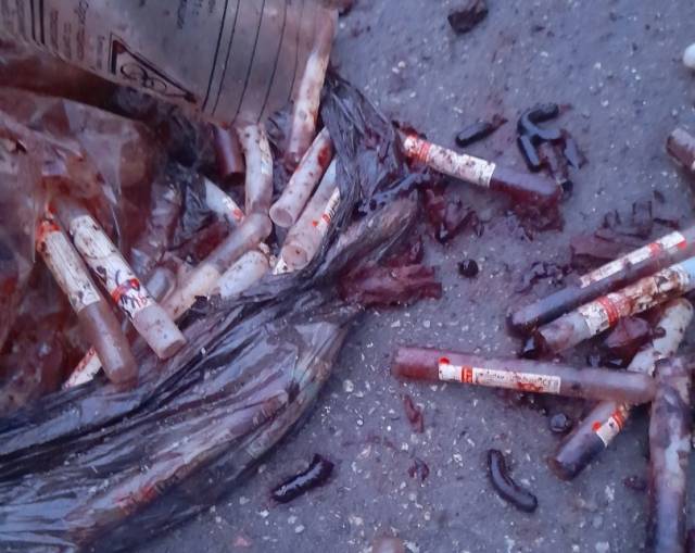 «Кровь и пробирки»: в Искитиме местные жители жалуются на разбросанные отходы из больницы
