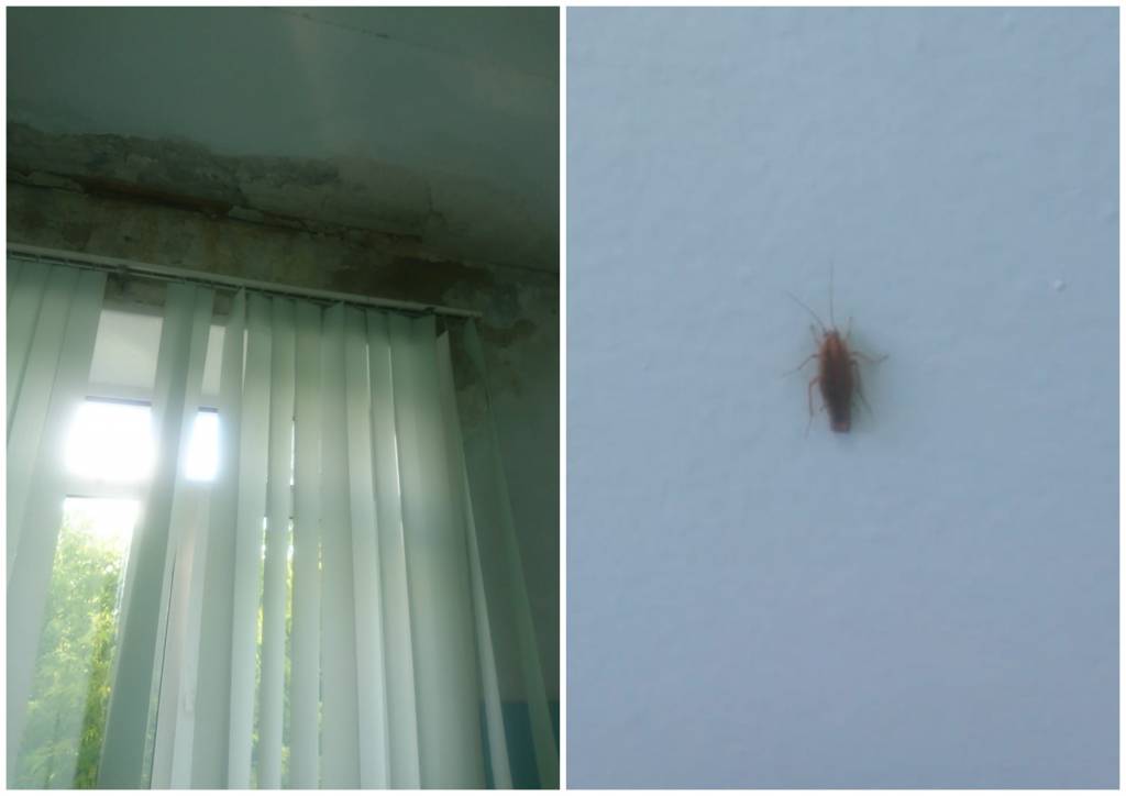 Десятки пациентов больницы в Бердске требуют провести ремонт в кардиологическом отделении