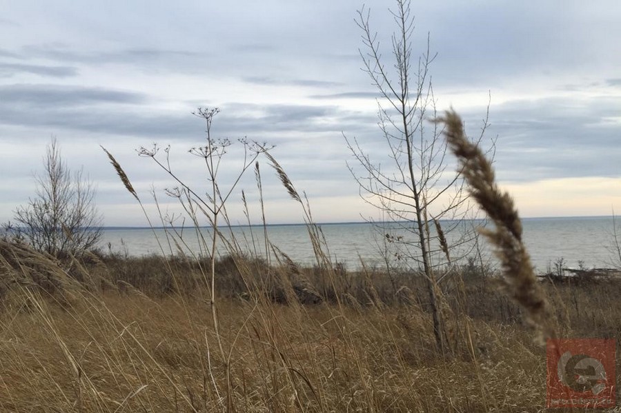 Глава СКР Бастрыкин заинтересовался «захватом» берега Оби в Новосибирске