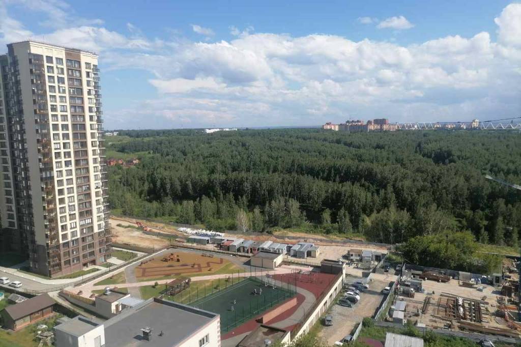 В Новосибирске на выходных ожидается жара до +29 градусов